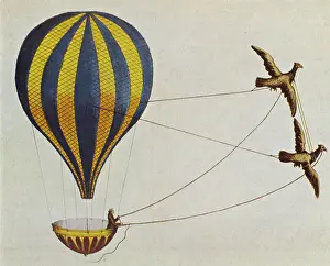 Balloon Prints: Hot Air Balloon, 1804
