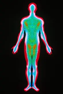 Body Prints: Human Body