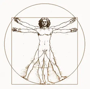 Mirror Prints: Human body by Da Vinci