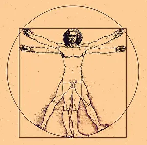 Figure Prints: Human body by Da Vinci