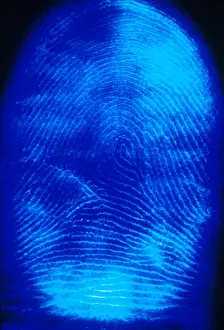 Prints: Human Fingerprint