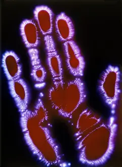 March Prints: Human Hand