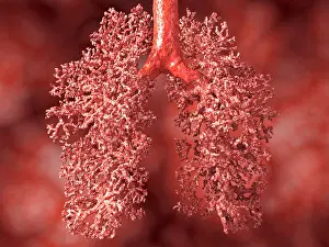 Normal Prints: Human lung, artwork