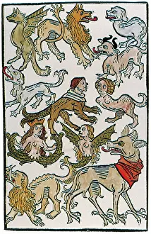 Chronicles Prints: Human Monsters, 1493