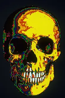 Deaths Prints: Human Skull