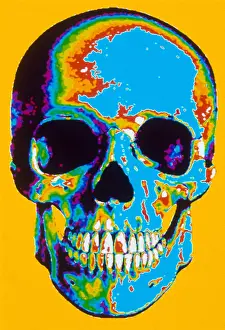 Deaths Prints: Human Skull