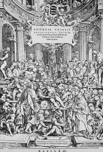Best Sellers Part III Prints: De Humani Corporis Fabrica, Vesalius, Renaissance Book of Anatomy, Dissection, Medicine