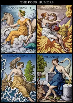 Trait Prints: The Four Humors of Hippocratic Medicine