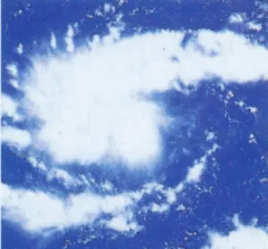 Meteorology Prints: Hurricane Sequence, 1 of 3