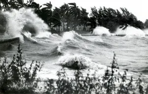 Strong Prints: Hurricane Waves