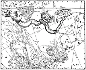 Asterism Prints: Hydra Constellation, Hevelius, 1687