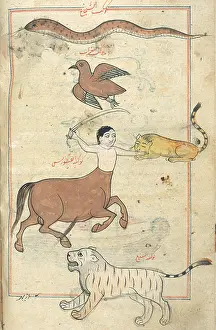 Text Prints: Hydra, Corvus, Centaurus and Lupus Constellations