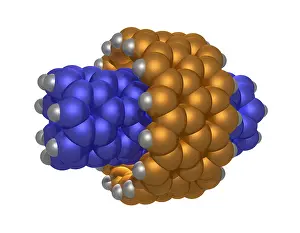 Atom Prints: Hydrocarbon-based nanotechnology
