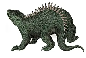 Hylaeosaurus Illustration