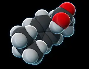 Inflammatory Prints: Ibuprofen, Molecular Model