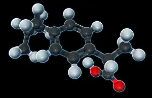 Inflammatory Prints: Ibuprofen, Molecular Model