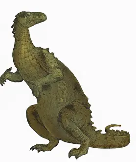 Prehistoric Prints: Iguanodon, Mesozoic Dinosaur
