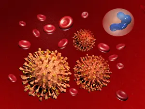 Virus Prints: Illustration of Influenza