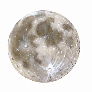 Plain Prints: Moon