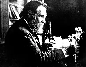 Jewish Prints: Ilya Ilyich Mechnikov, Russian Biologist