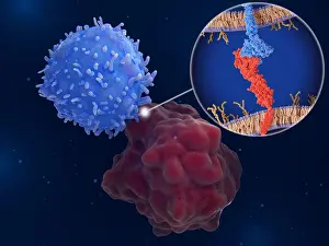 Tumor Prints: Immune checkpoint: Interaction between PD-1 and PD-L1 inhibits T-cells