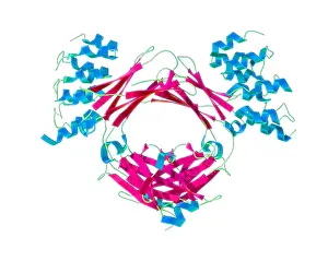 October Prints: Immunoglobulin E, antibody