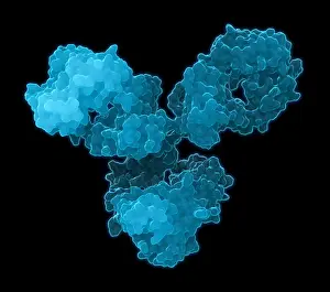 Immunity Prints: Immunoglobulin G antibody