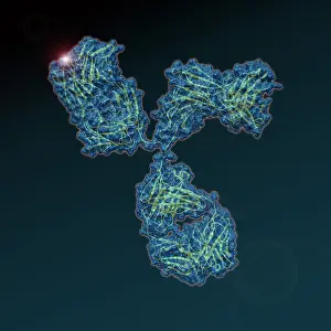 Atom Prints: Immunoglobulin G Antibody