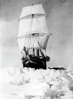 Prints of Endurance was the three-masted barquentine in which Ernest Shackleton sailed for the Antarctic on the 1914 Imperial Trans-Antarctic Expedition : Imperial Trans-Antarctic Expedition, Endurance, 1915
2260057
