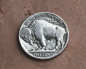 Object Prints: Indian Head/Buffalo Nickel