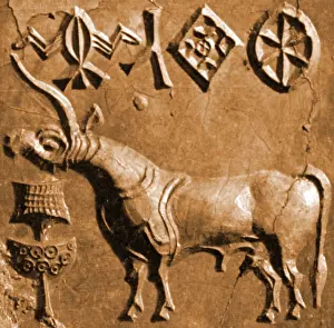 Best Sellers Part IV Prints: Indus Valley Unicorn Relief, Pakistan