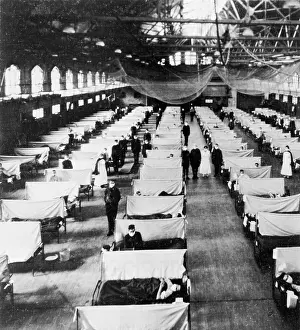 Influenza Epidemic