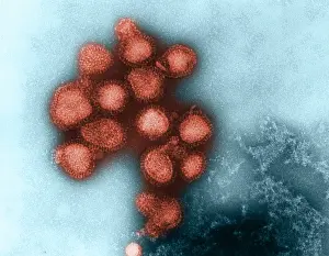 Influenza Prints: Influenza Virus