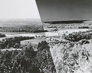 Landscape Prints: Infrared Comparison
