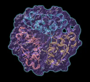 Graphics Prints: Insulin (Hexamer)
