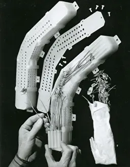 Gamma Prints: Ionizing Radiation Plant Experiment