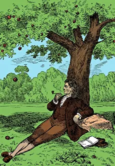 Apple Prints: Isaac Newton, English Polymath