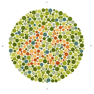 Test Prints: Ishihara Color Blindness Test