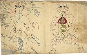 17th Prints: Islamic Anatomical Drawings, 17th Century