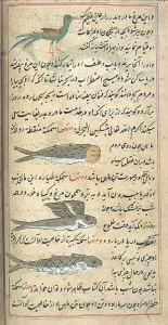 Folklore Prints: Islamic Mythical Creatures, 17th Century