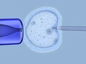Technology Prints: IVF, artwork