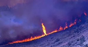 Vortex Prints: Jackson Canyon Fire, 2006