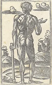Monochrome Prints: Jacopo Berengario da Carpi, Anatomy