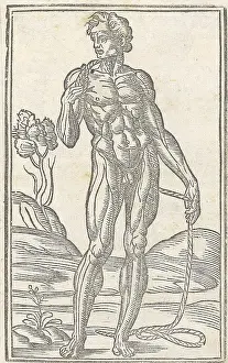 Monochrome Prints: Jacopo Berengario da Carpi, Anatomy