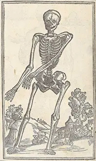 Monochrome Prints: Jacopo Berengario da Carpi, Anatomy