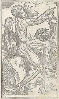Monochrome Prints: Jacopo Berengario da Carpi, Anatomy