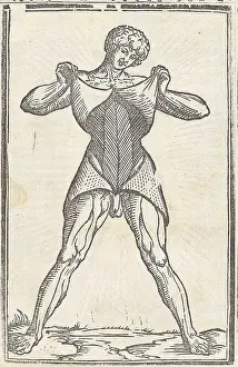 Monochrome Prints: Jacopo Berengario da Carpi, Anatomy