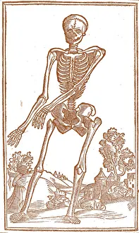 Monochrome Prints: Jacopo Berengario da Carpi, Anatomy