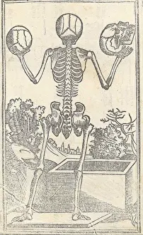 Monochrome Prints: Jacopo Berengario da Carpi, Anatomy
