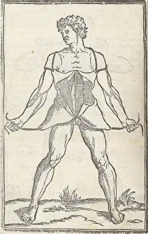 Monochrome Prints: Jacopo Berengario da Carpi, Anatomy
